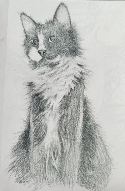 A pencil illustration of a cat sitting 