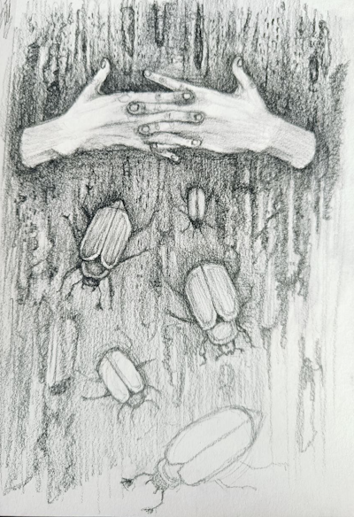 A pencil illustration of hands in treebark with bugs